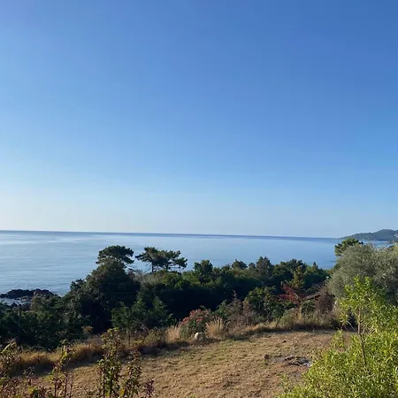 Bas De - Canella Sari-Solenzara